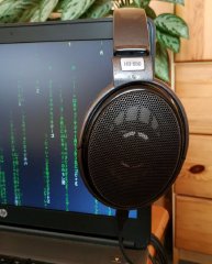 Sennheiser HD 650 (3)