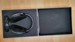 Senheiser HD 600 (2)