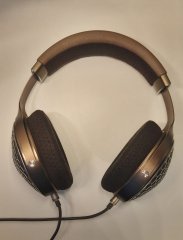FOCAL Clear MG (2)