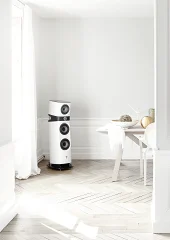 Focal Sopra № 2 (10)