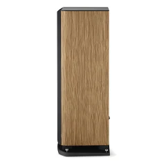 Focal Aria Evo X № 4 (3)