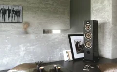 Focal Aria Evo X № 4 (6)
