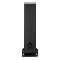 Focal Aria Evo X № 4 (8)