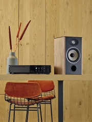 Focal Aria Evo X № 1 (8)