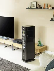 Focal Aria Evo X № 2 (2)