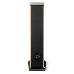Focal Aria Evo X № 2 (4)
