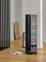 Focal Aria Evo X № 3 (3)