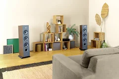 Focal Chora 826 (10)