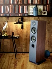 Focal Chora 816 (7)