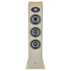 Focal Theva № 2 (2)