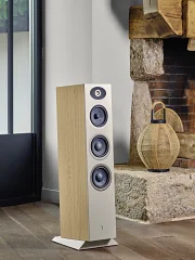 Focal Theva № 2 (4)