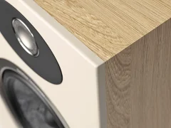 Focal Theva № 3 (4)