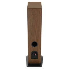 Focal Theva № 3 (6)
