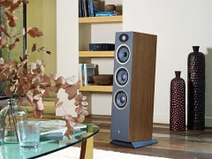 Focal Theva № 3 (7)