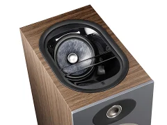 Focal Theva № 3 D (10)