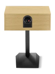 Focal Theva Center (5)